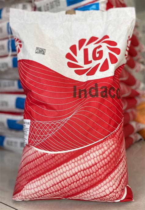 LG MISIR TOHUMU INDACO.