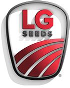 codini.rgarabwor.edu.pl. 