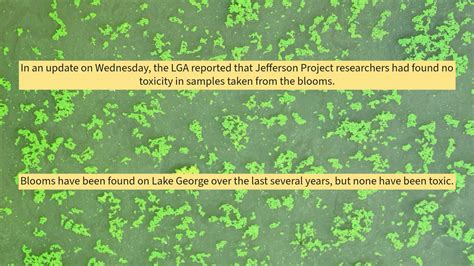 LGA: New Lake George algal blooms not toxic
