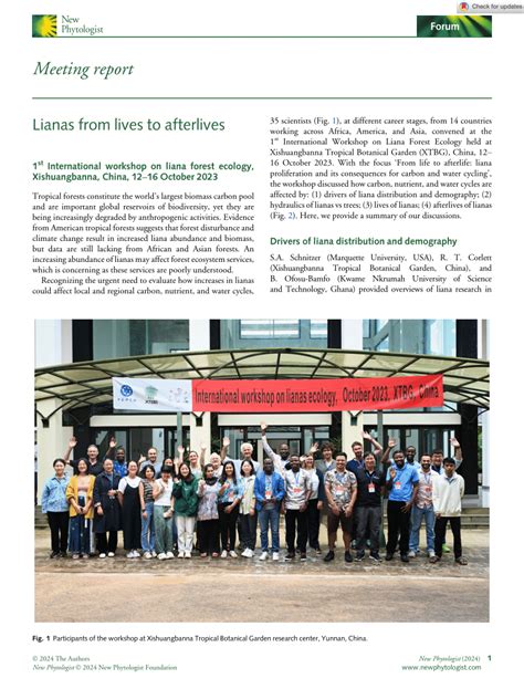 Lianas from lives to afterlives - New Phytologist - muktibox.com