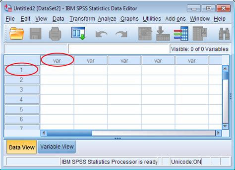 LibGuides: SPSS Tutorials: Getting Started with SPSS - wintechmobiles.com
