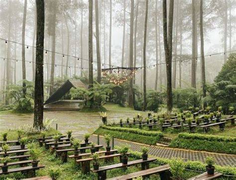 Liburan di Orchid Forest Cikole Destinasi Romantis di Hutan Pinus ... - raincitystudios.com