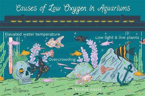 Life at Stable low Oxygen Levels: Adaptations of Animals to Oceanic ... - raincitystudios.com