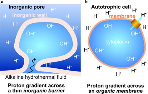 Life at Vents & Seeps - Woods Hole Oceanographic … - muktibox.com