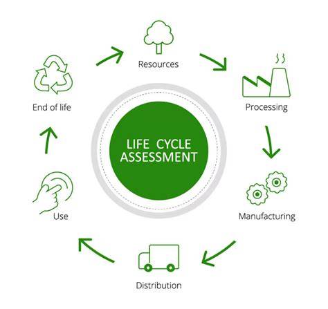 Life Cycle Assessment of Rice-Duck Co-culture Systems - raincitystudios.com