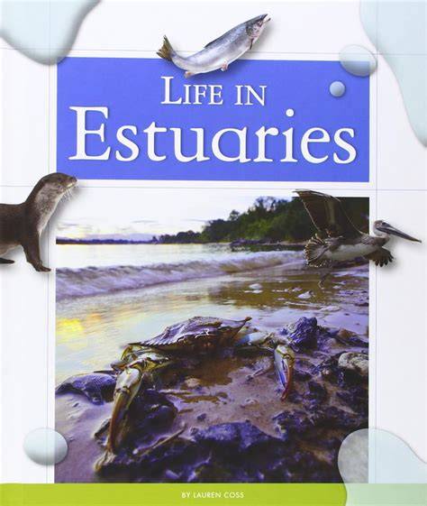 Life in estuaries | The Estuarine Ecosystem: Ecology, Threats and ... - raincitystudios.com