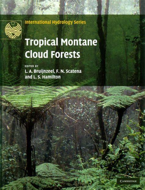 Life in the clouds: are tropical montane cloud forests ... - JSTOR - raincitystudios.com