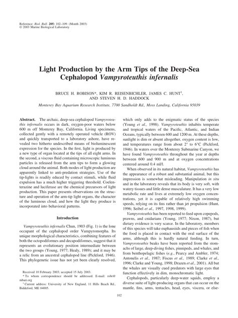 Light Production by the Arm Tips of the Deep-Sea Cephalopod ... - wintechmobiles.com