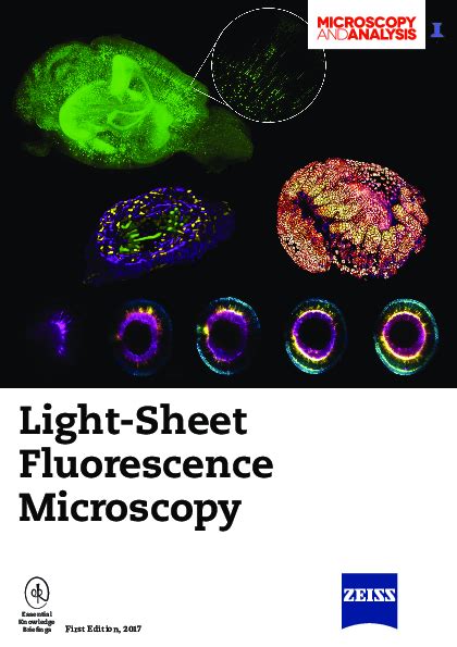 Light sheet fluorescence microscopy - Nature - wintechmobiles.com