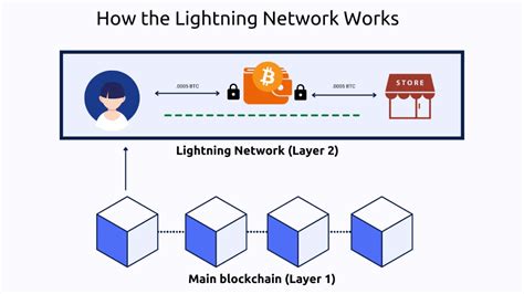 Lightning Network Transactions