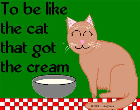 LIKE THE CAT THAT GOT THE CREAM - Cambridge Dictionary