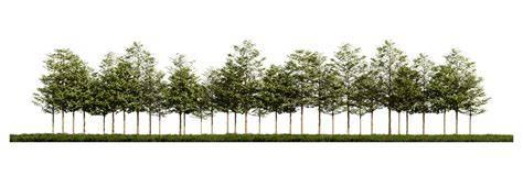 Line Trees and Blazed Lines - Mypdh.engineer - raincitystudios.com