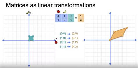 Linear transformations - Math Insight - wintechmobiles.com