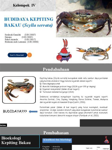 Lingga Utara Potensi Budidaya Kepiting Bakau - raincitystudios.com