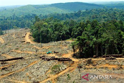 Lingkungan Hidup dan Bencana - prosiding - raincitystudios.com