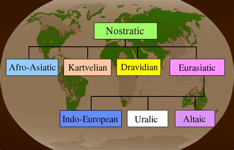 Linguistic Geography of the Nostratic Macrofamily - Springer - wintechmobiles.com