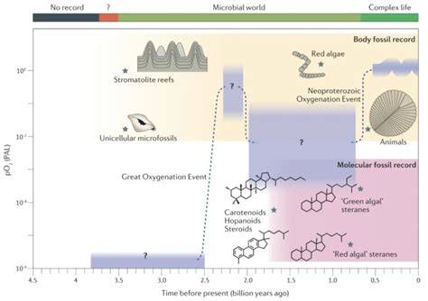 Lipid biomarkers: molecular tools for illuminating the history of ... - raincitystudios.com