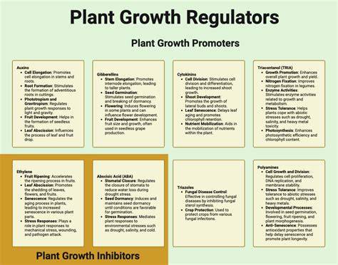 List five main groups of natural plant growth regulators. - raincitystudios.com