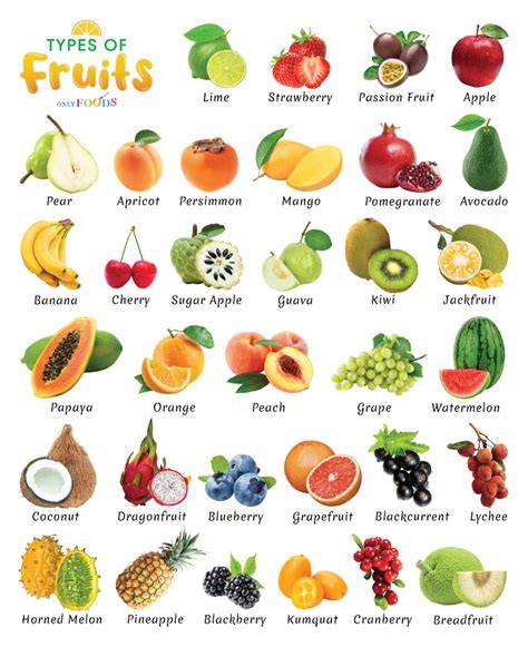 List of culinary fruits - raincitystudios.com