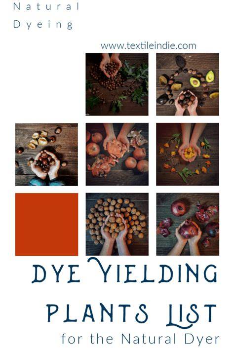 List of Dye Yielding Plants for the Natural Dyer - raincitystudios.com
