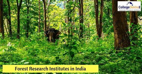 List of forest research institutes - raincitystudios.com