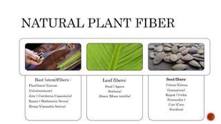 List of plant fibers | Bast, Leaf, Seed, & Examples - raincitystudios.com