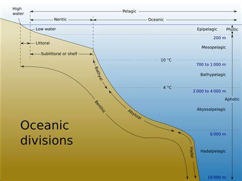 List of submarine topographical features - raincitystudios.com