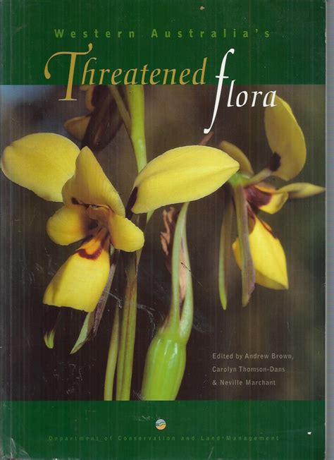 List of threatened flora of Australia - raincitystudios.com
