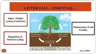 LITTER FALL, NUTRIENT RETURN AND SOIL … - raincitystudios.com