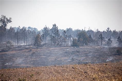 LIVE: Powder Keg Pine Fire in Bastrop estimated at 30 acres, 10% contained
