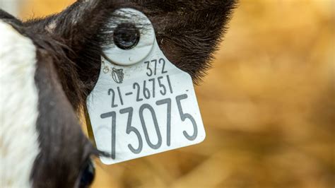 Livestock Identification - Merck Animal Health Canada - coolestguyplanet.net