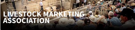 Livestock Marketing Association - coolestguyplanet.net