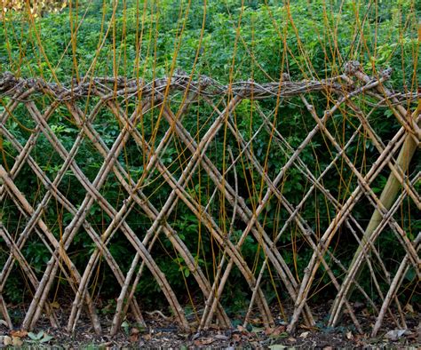 Living Fences - The Modern Homestead - raincitystudios.com