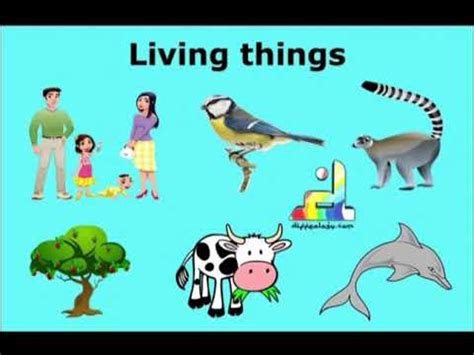 LIVING THINGS YouTube. 