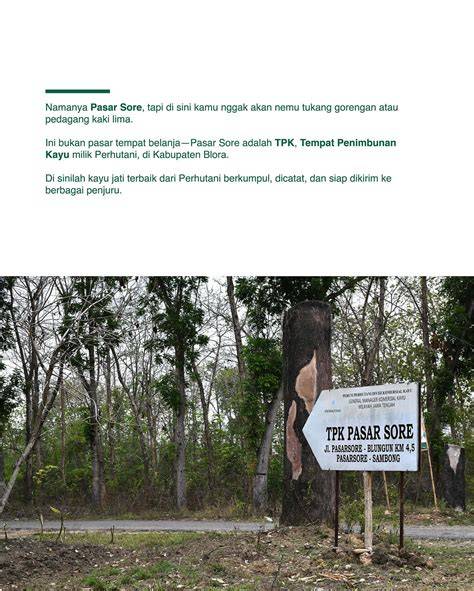 Log Jati TPK Pasar Sore Cepu Blora Jati Mas - raincitystudios.com