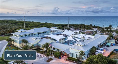 Loggerhead Marinelife Center - Ocean & Sea Turtle … - raincitystudios.com