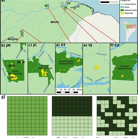Logging concessions, the land and management plans - raincitystudios.com