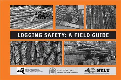 LOGGING SAFETY: A FIELD GUIDE - raincitystudios.com