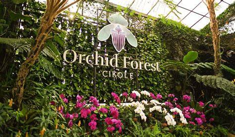 Lokasi Orchid Forest Lembang Dan Harga Tiket Terbaru - raincitystudios.com