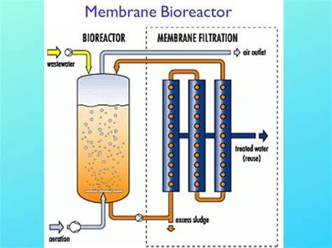 Long-term operation of a high-rate membrane bioreactor for organic ... - raincitystudios.com