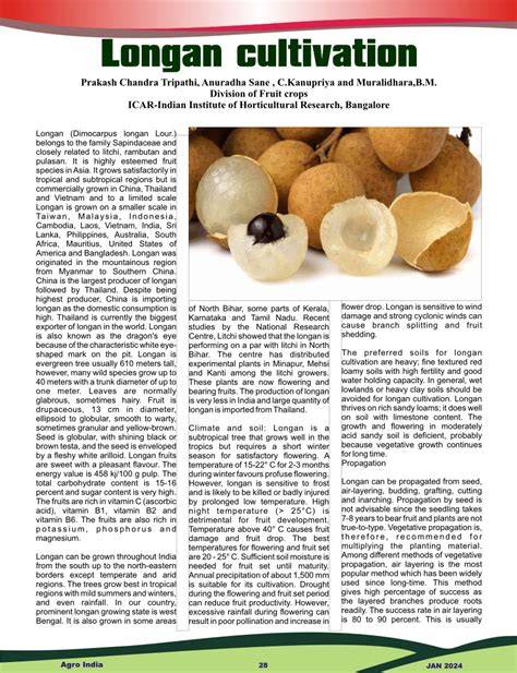Longan cultivation - ResearchGate - raincitystudios.com