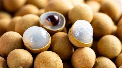 LONGAN - ResearchGate - raincitystudios.com