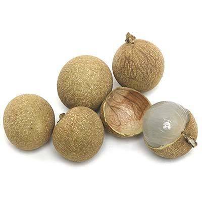 Longans — Melissas Produce - raincitystudios.com
