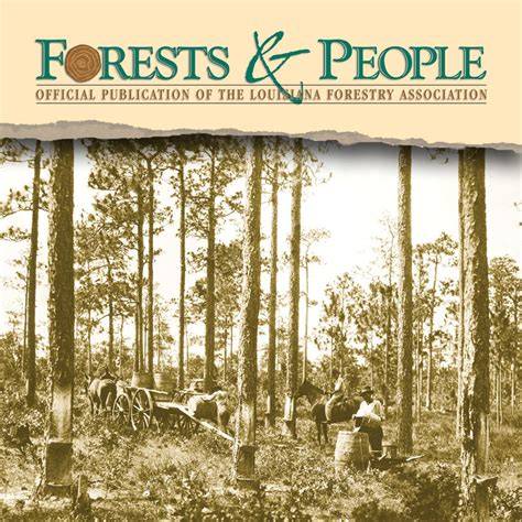 Longleaf provided much since beginning - laforestry - raincitystudios.com