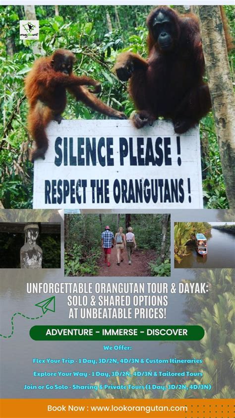 LookOrangutan: Unforgettable Borneo Adventures - wintechmobiles.com