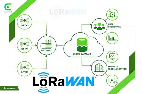 LoRaWAN - Most Common Applications and Use … - coolestguyplanet.net
