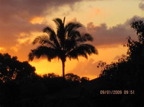 LOS 10 MEJORES hoteles cerca de Kauai Koa farm, Princeville