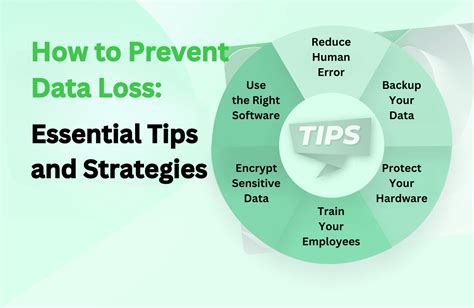 Lost Databases: How to Store Data Effectively and Prevent Loss ... - coolestguyplanet.net