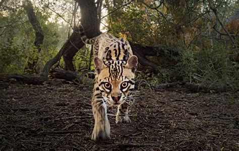 LOVE NATURE  #oriflame #brand.