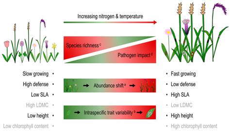 Low nitrogen addition amplifies the positive effect of grazing ... - muktibox.com